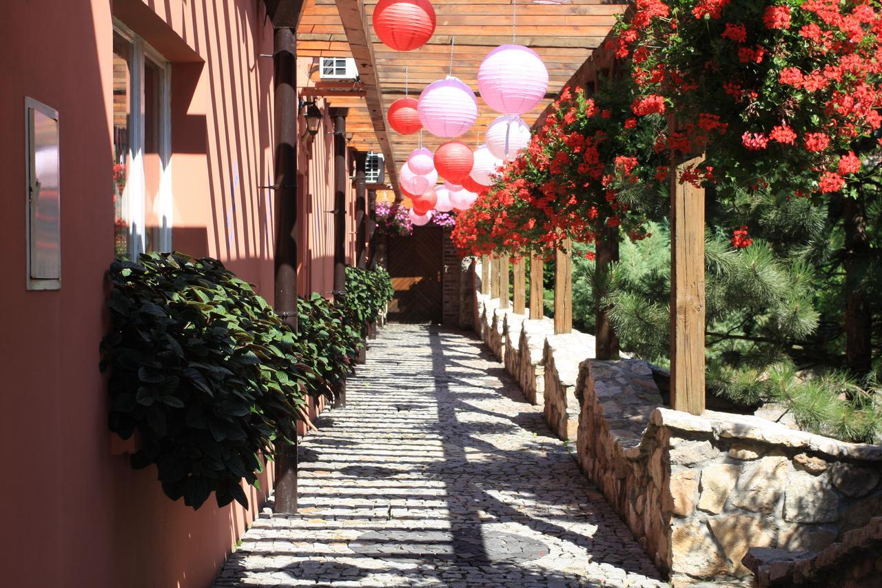 Hotel Restauracja Pustelnik Wisla Mala ภายนอก รูปภาพ